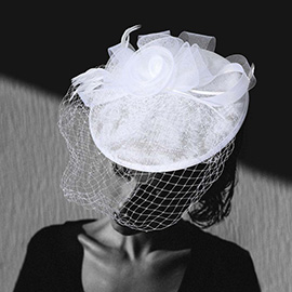 Rosette Feather Mesh Fascinator / Headband
