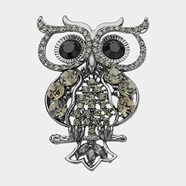 Stone Embellished Owl Pin Brooch