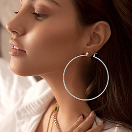 Metal Pin Catch Hoop Earrings