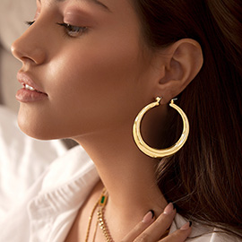 Metal Pin Catch Hoop Earrings