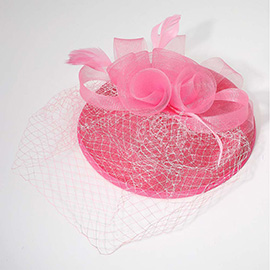 Rosette Feather Mesh Fascinator / Headband