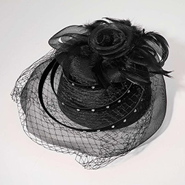 Mesh Flower Feather Pointed Fascinator / Dressy Hat