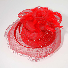 Mesh Flower Feather Pointed Fascinator / Dressy Hat